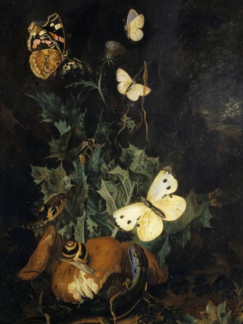 Butterflies and other insects pellicola backlit da ramosashop