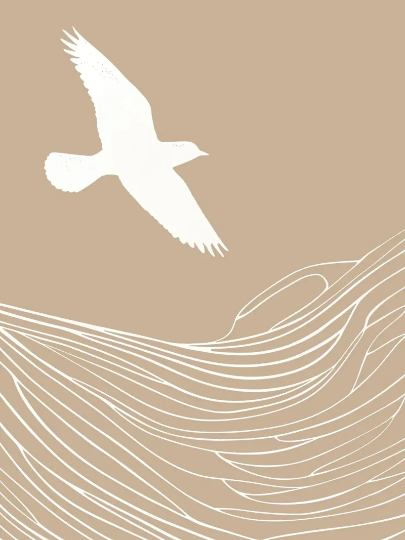 Vuelo de gaviota | Arte lineal marítimo en beige poster con marco de plástico de Autofocus
