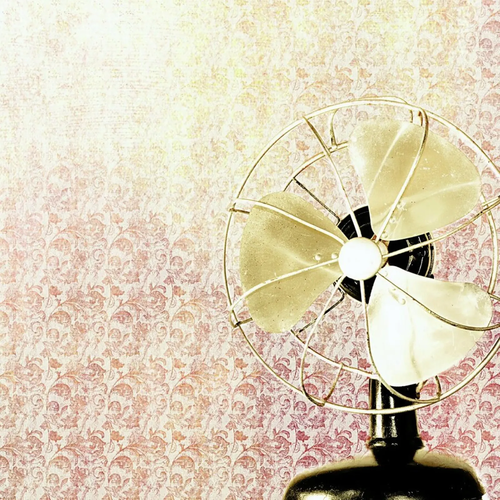 Retro Fan pellicola backlit da Keri Bevan