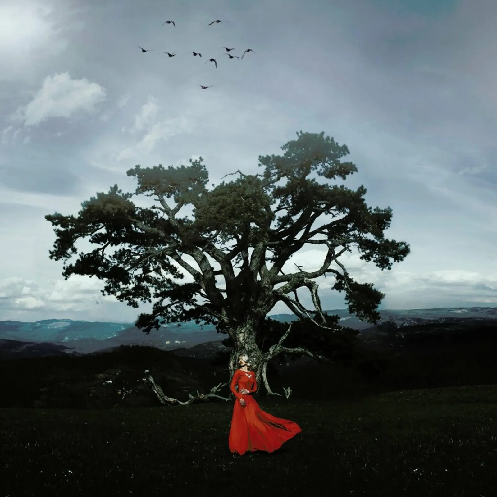 Connection Between Sky And Earth pellicola backlit da Jovana Rikalo