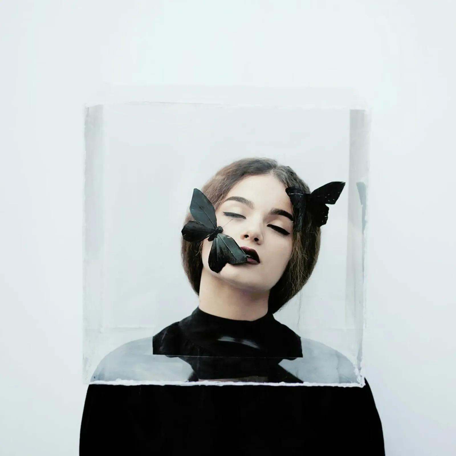 Life In A Box alluminio dibond da Jovana Rikalo