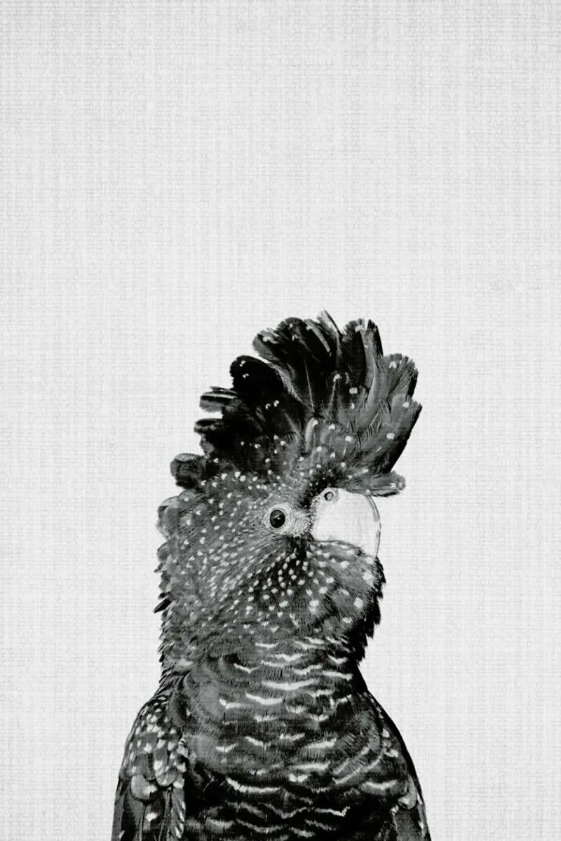 Print 66 pellicola backlit da Lila x Lola