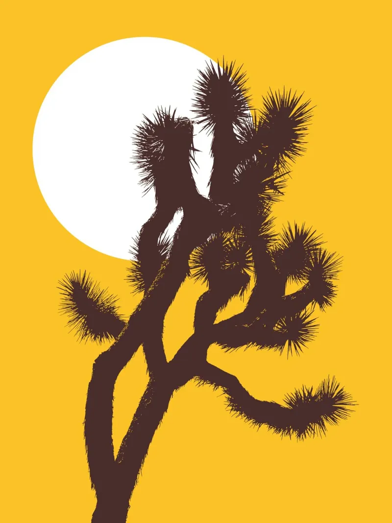 Joshua tree and the moon pellicola backlit da apoloprints