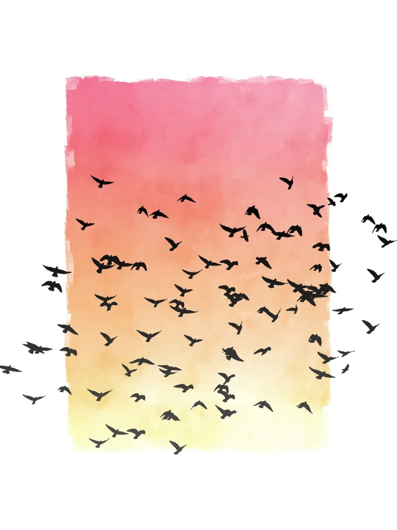 Sunset with birds plexiglass da apoloprints