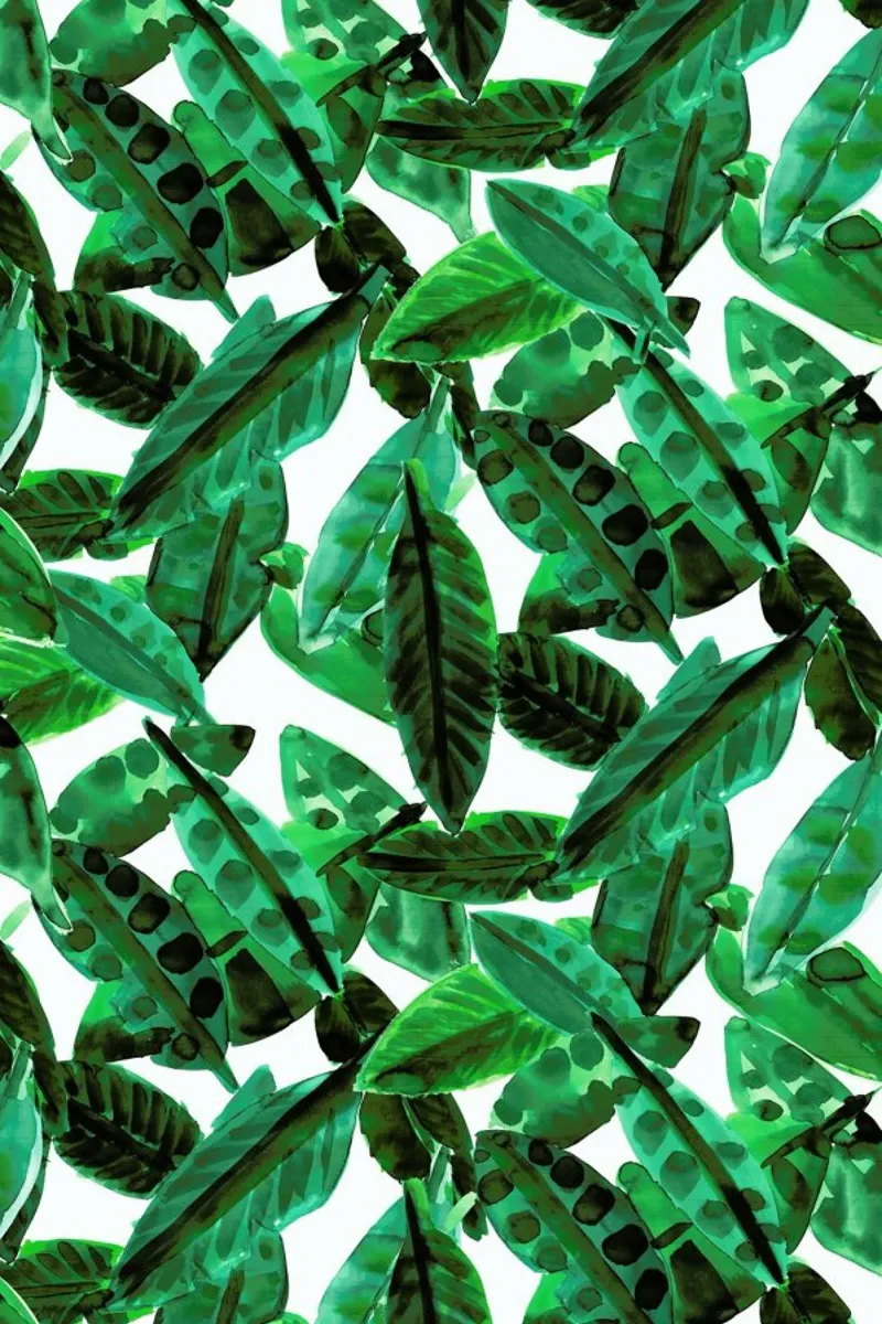 Small Palm Leaves pellicola backlit da Amy Sia