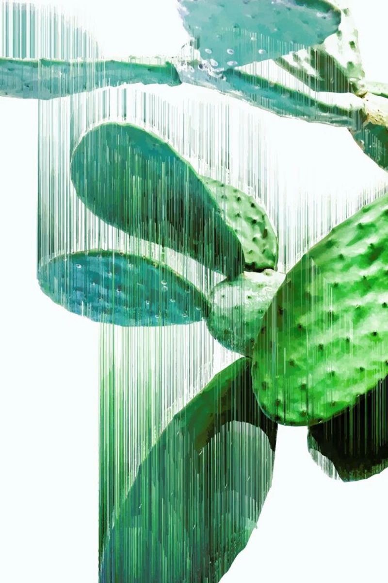 The Speed Of Cactus pellicola backlit da Adam Priester