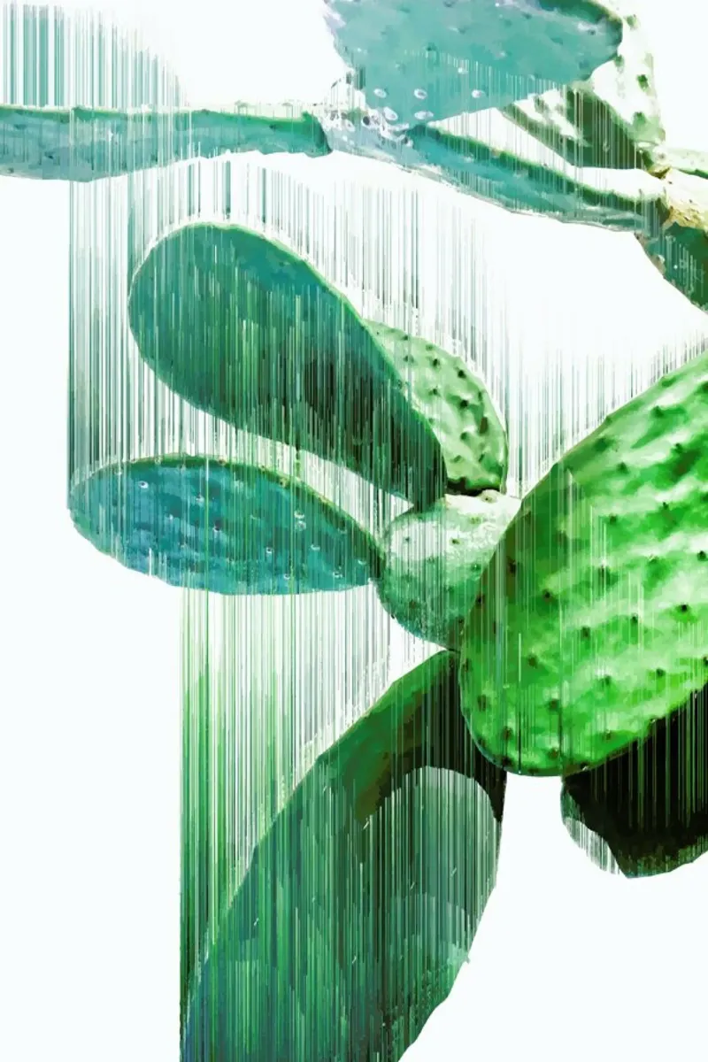 The Speed Of Cactus metacrilato de Adam Priester