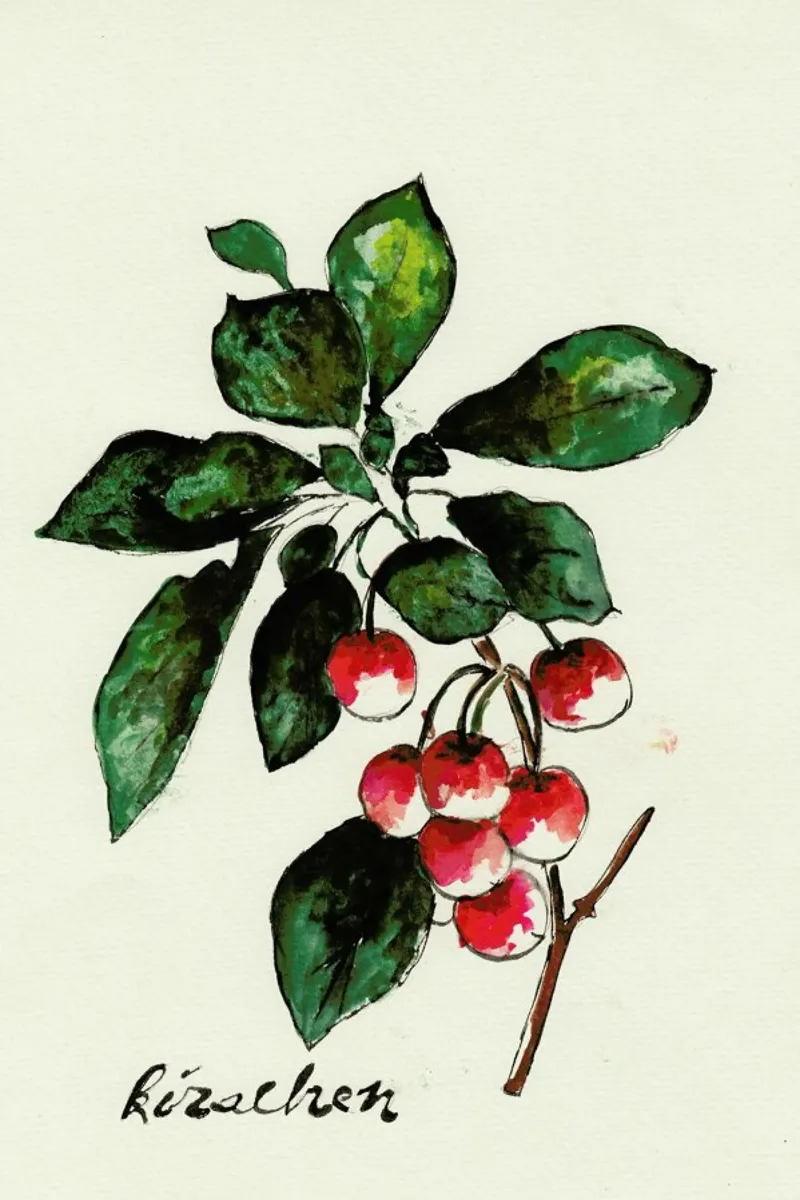 Kirschen poster da Nathys_illustration