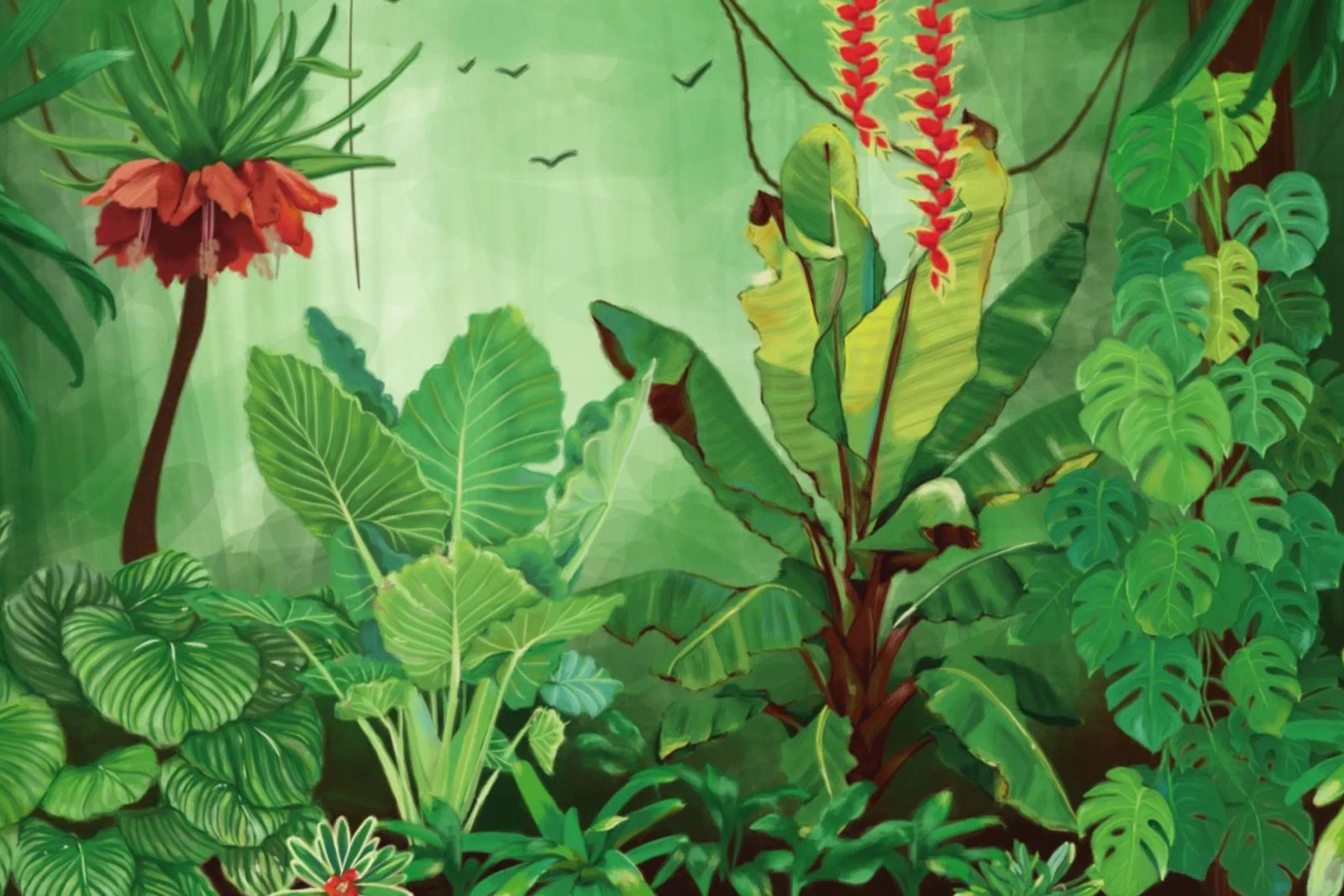 Jungle 1 poster de Klo~