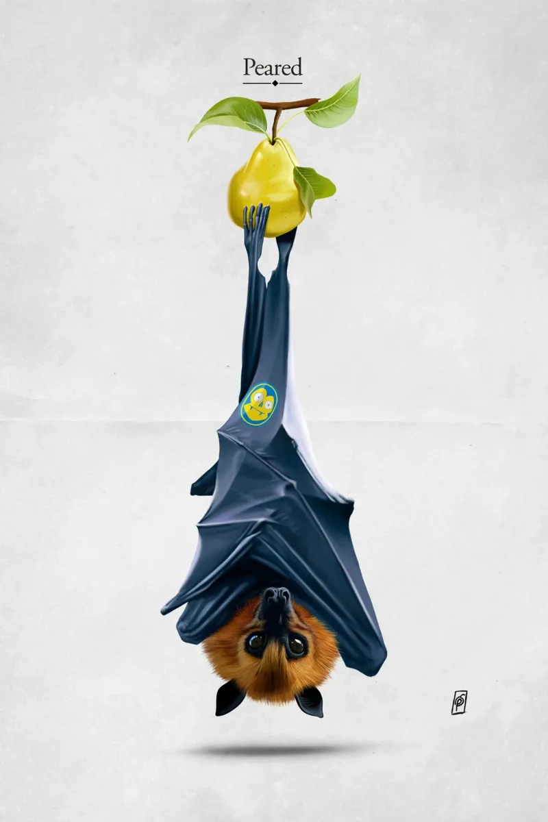 Peared (Wordless) plexiglass da Rob Art | Illustration