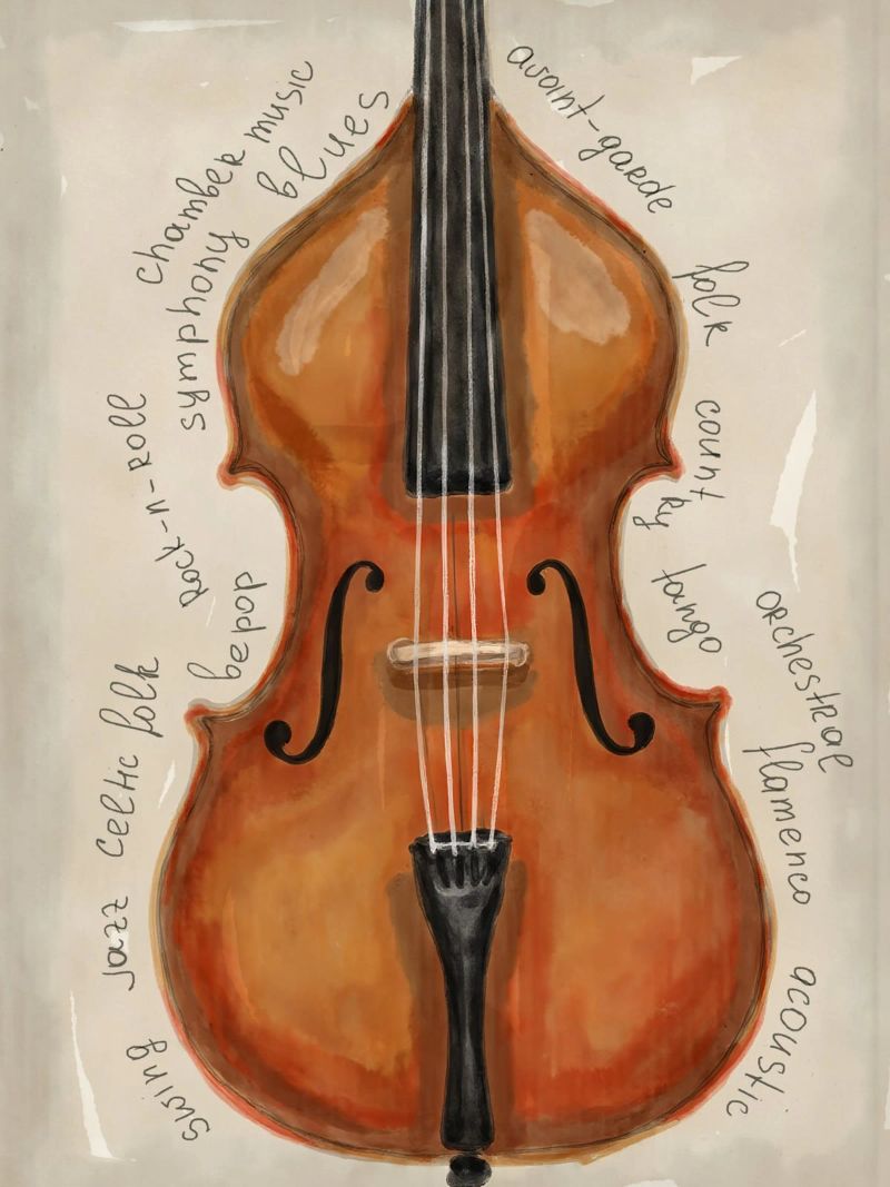 Double bass poster by Indigo Rain