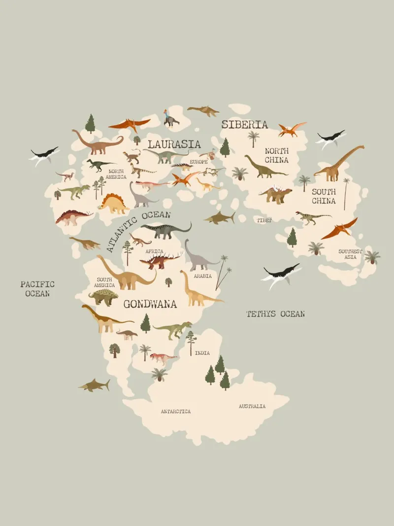 Dino Map pannello forex da treechild