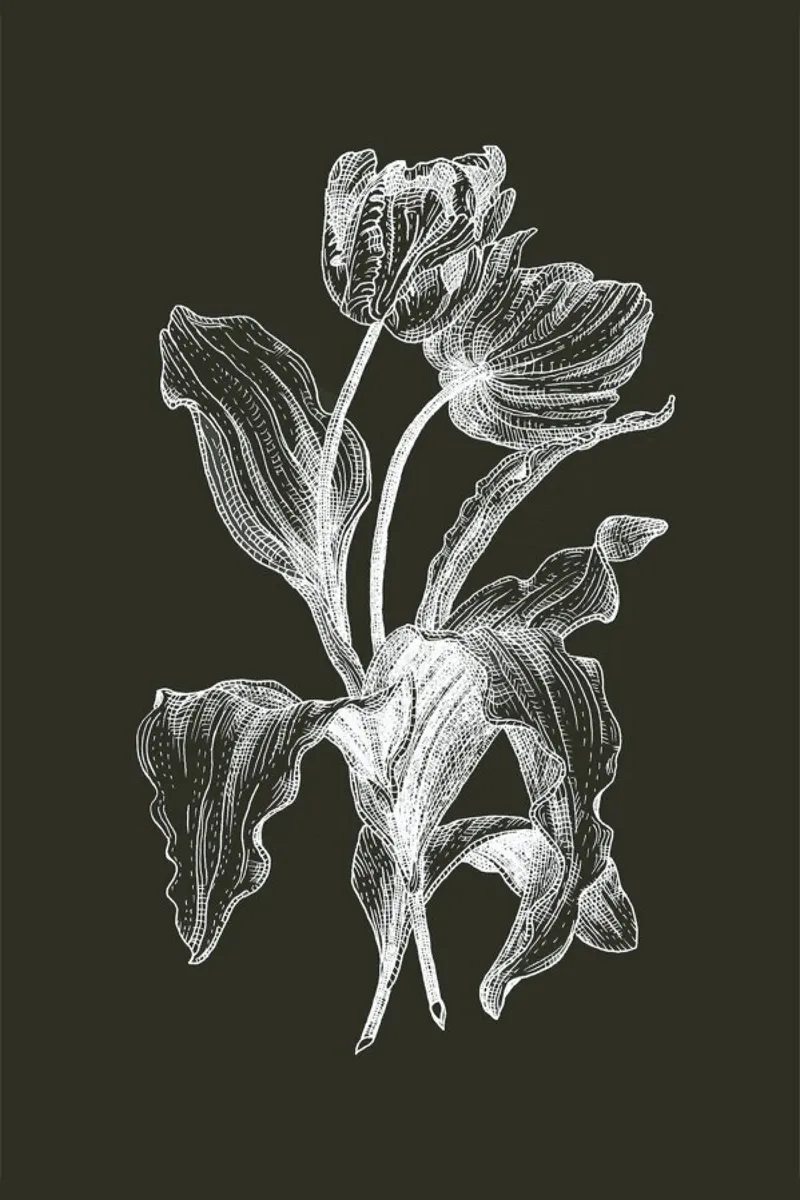 Tulips - White on Grey canvas by Pen & Ink