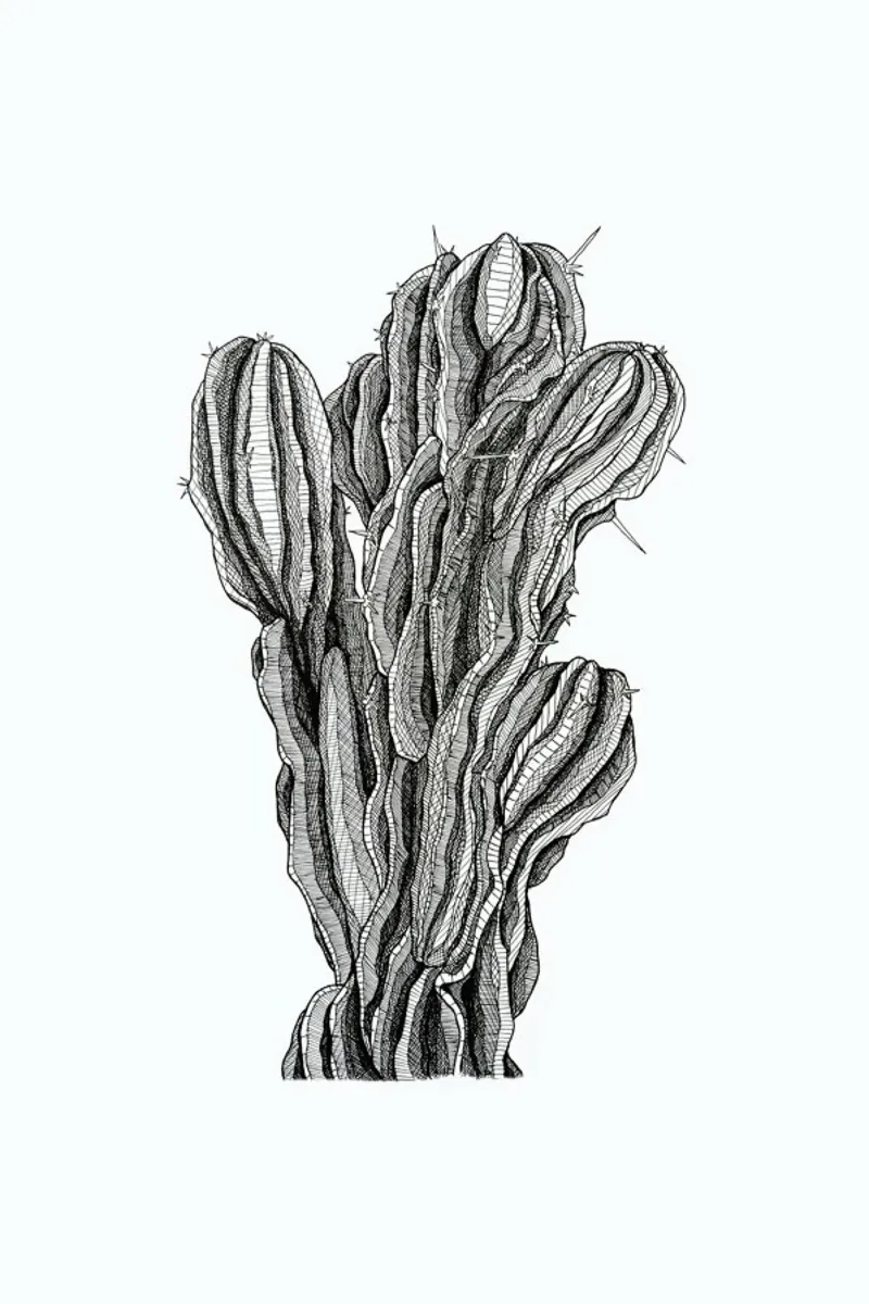 Bush Cactus pellicola backlit da Pen & Ink