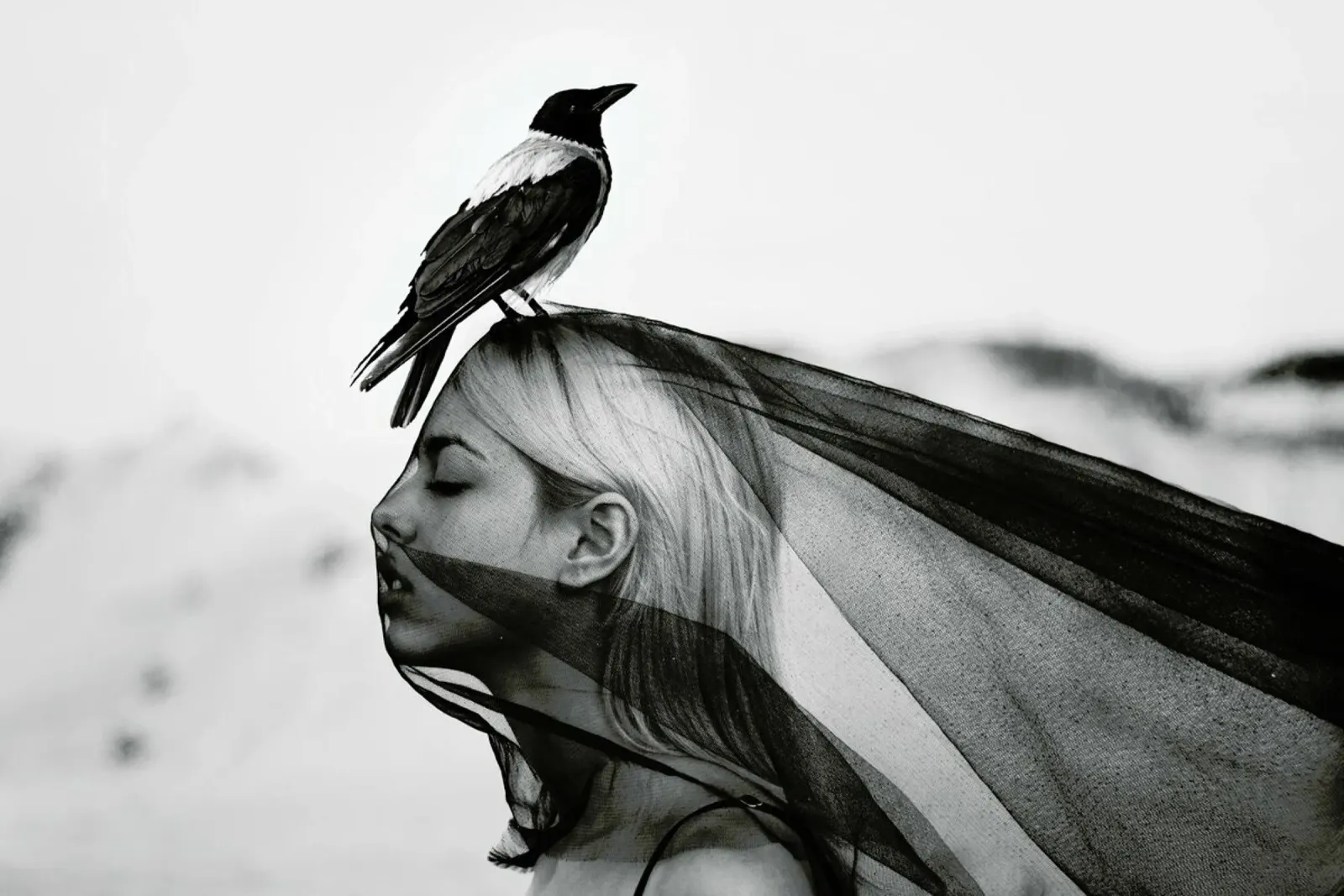 Guardian pellicola backlit da Jovana Rikalo