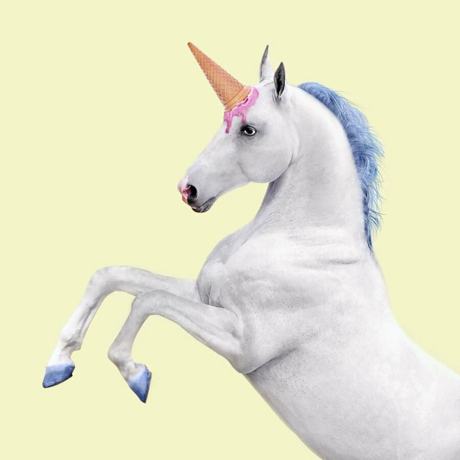 Ice Cream Unicorn Poster von Paul Fuentes Design