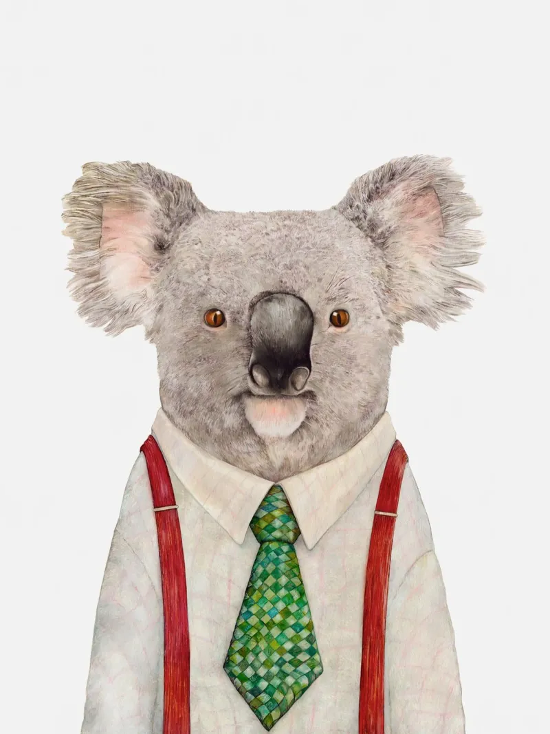 Mr. Koala pellicola backlit da Animal Crew