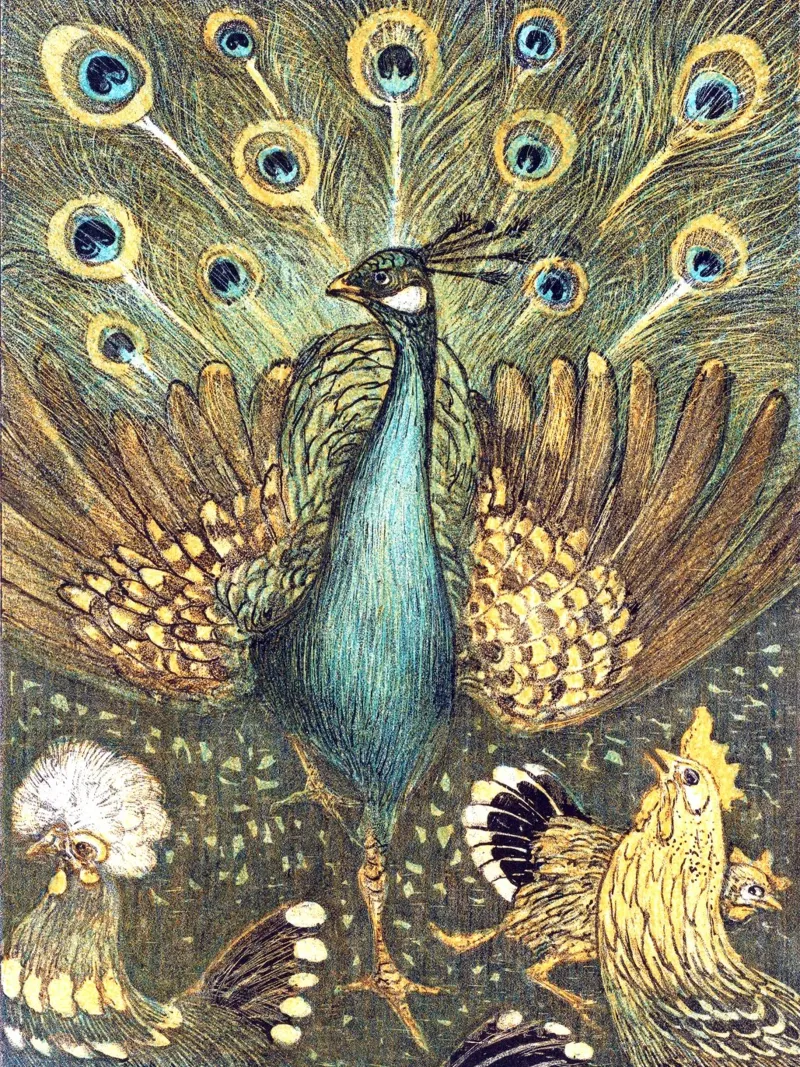 Peacock - Theo Van Hoytema tela con Cornice a cassetta da apoloprints
