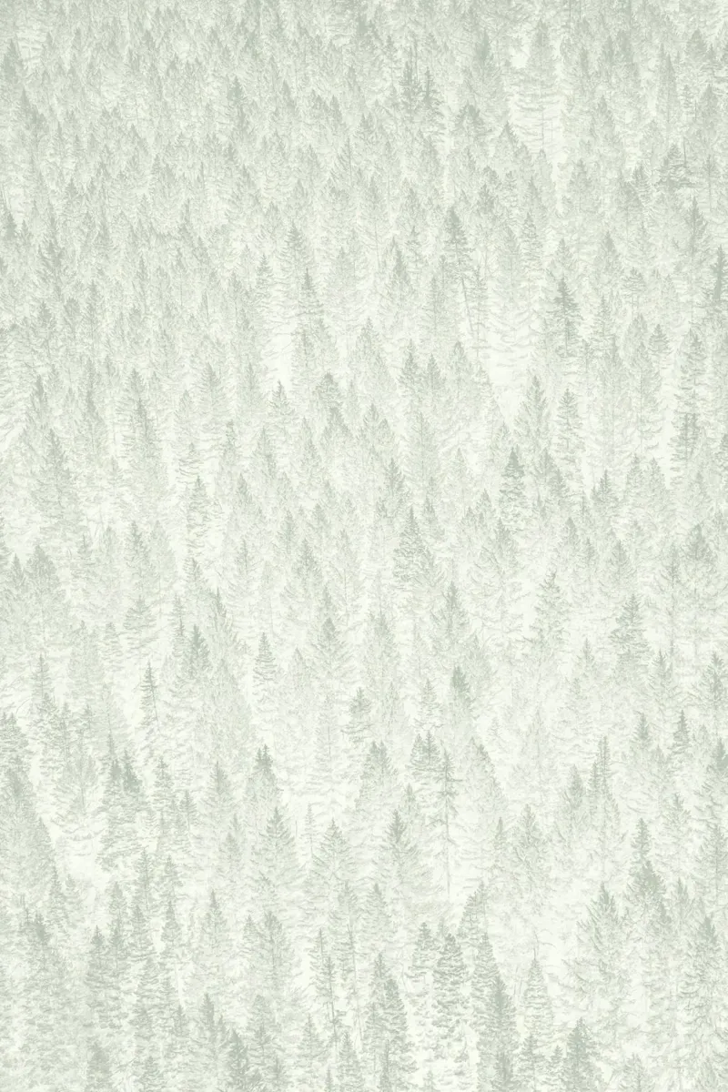 Sage Conifer Forest carta hahnemühle da apoloprints