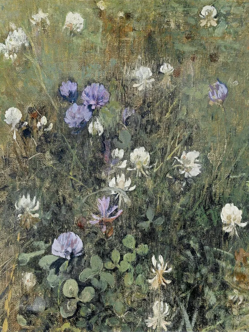 Blooming Clover Wildflowers tela con Cornice a cassetta da apoloprints