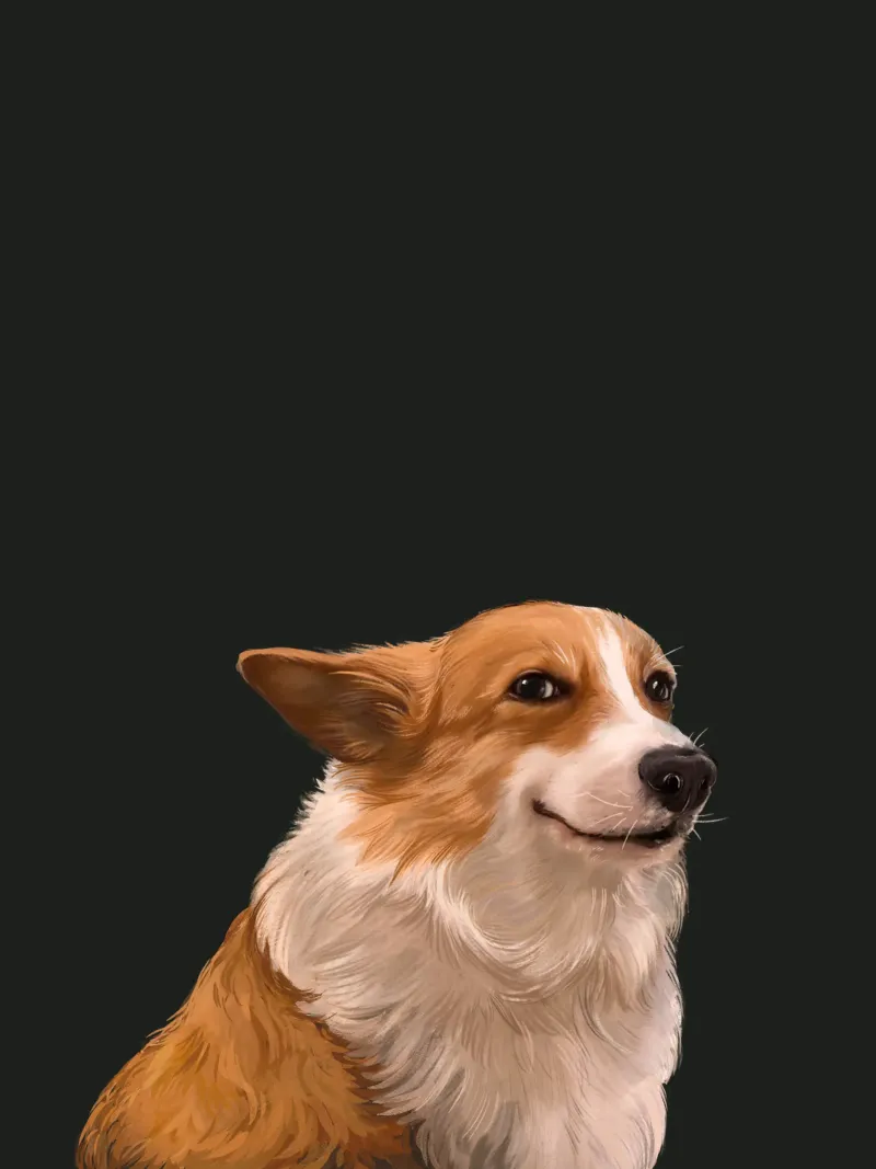 Sneaky Corgi pellicola backlit da Laura Graves