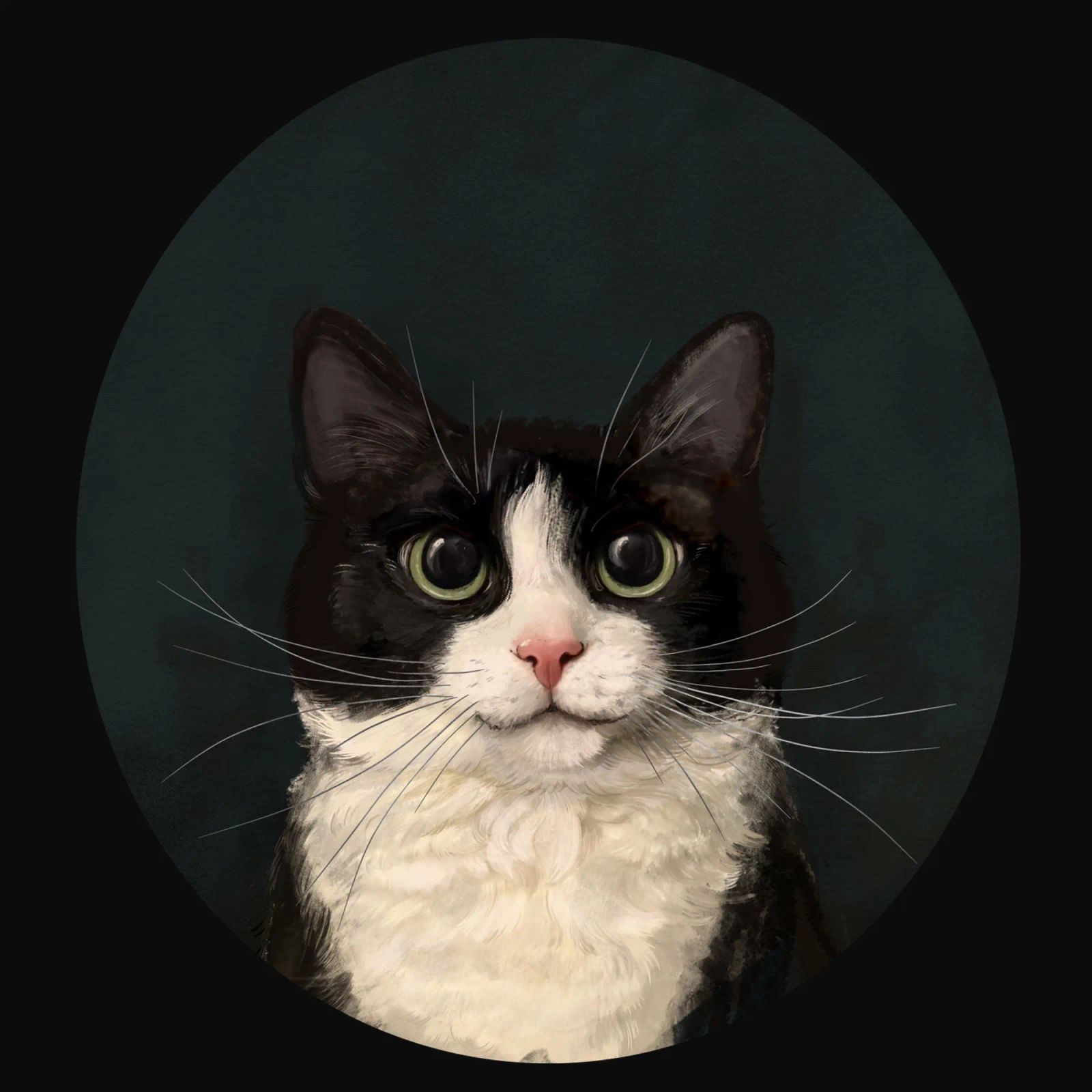Tuxedo Cat Portrait alluminio dibond da Laura Graves