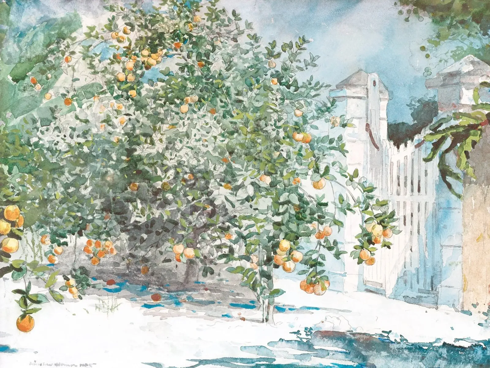 Boho Orange Tree Watercolor carta hahnemühle da apoloprints