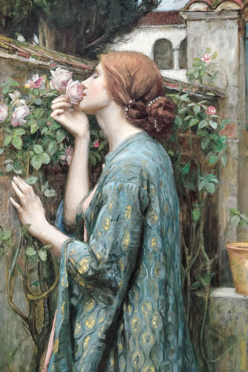 The Soul of the Rose poster con telaio in alluminio da apoloprints