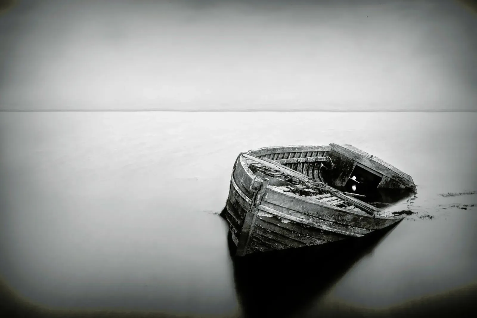 Abandoned - Wild Photo Art alluminio dibond da Pictufy