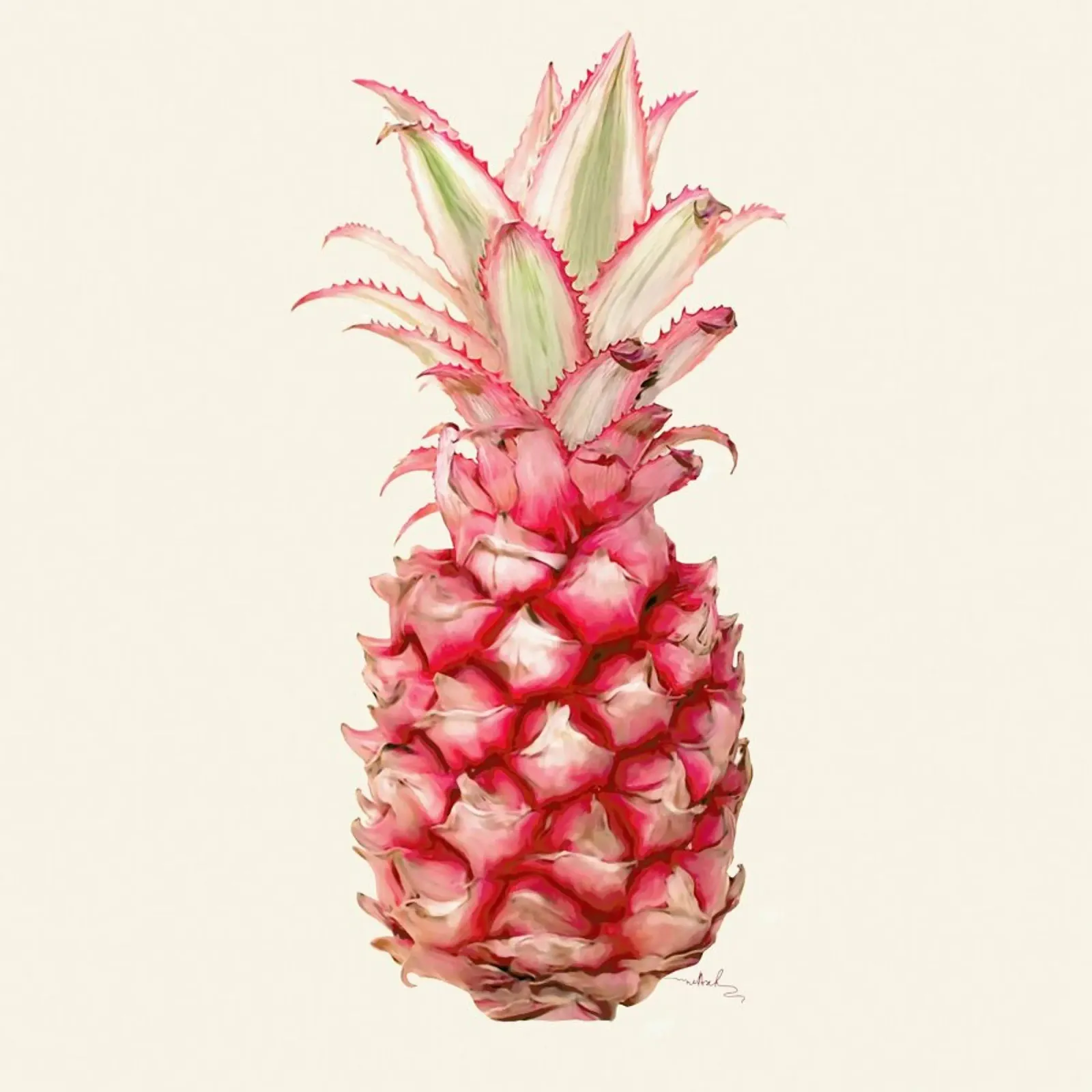 Pina poster con telaio in legno da Nettsch