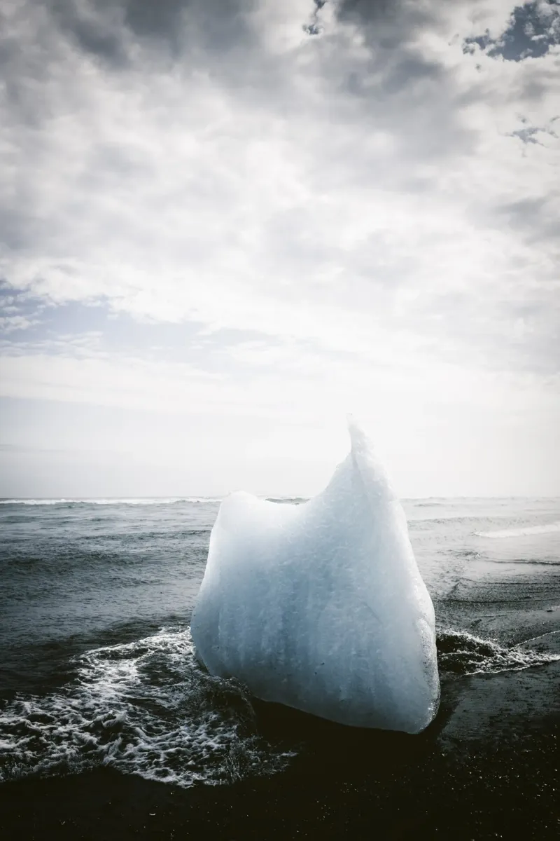 Iceberg a Diamond Beach in Islanda pellicola backlit da thetraveller