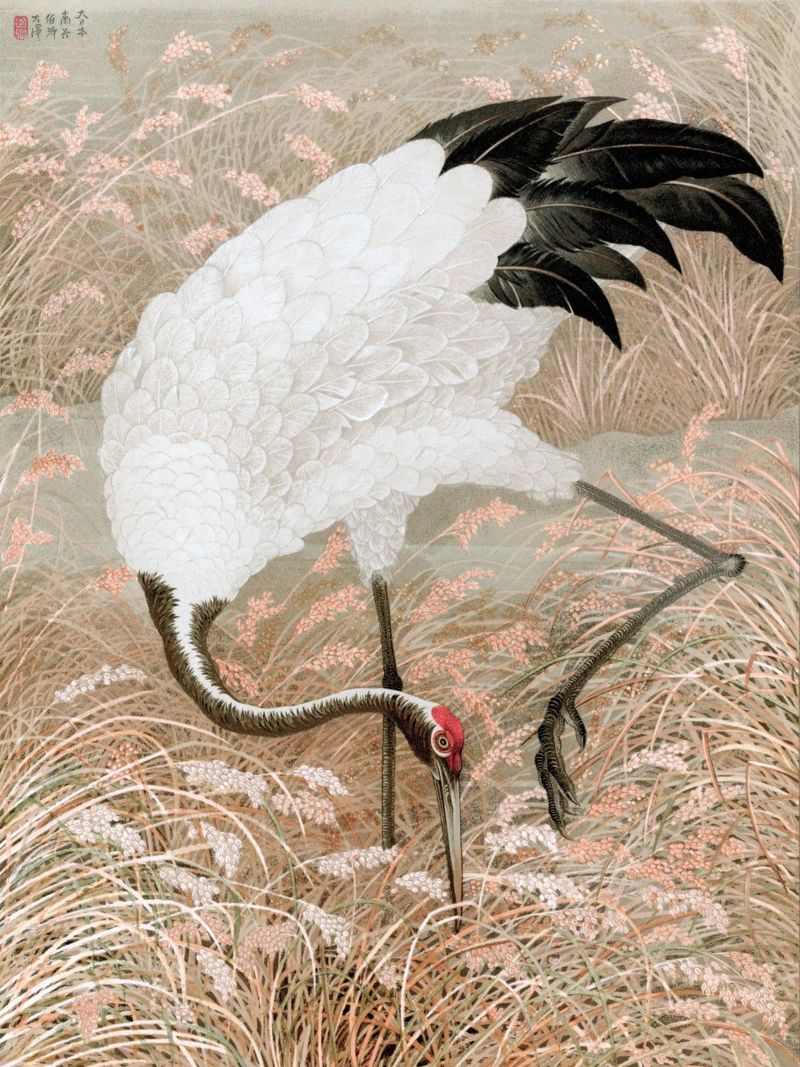 Tsuru pellicola backlit da apoloprints
