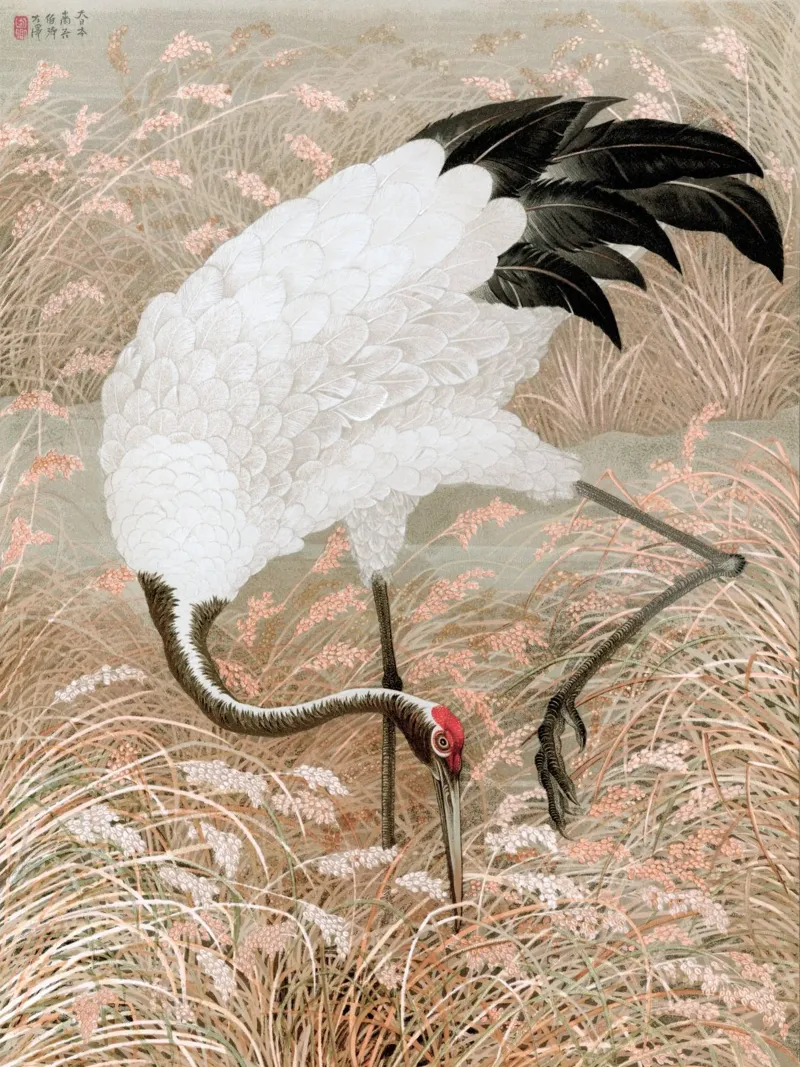 Tsuru plexiglass da apoloprints