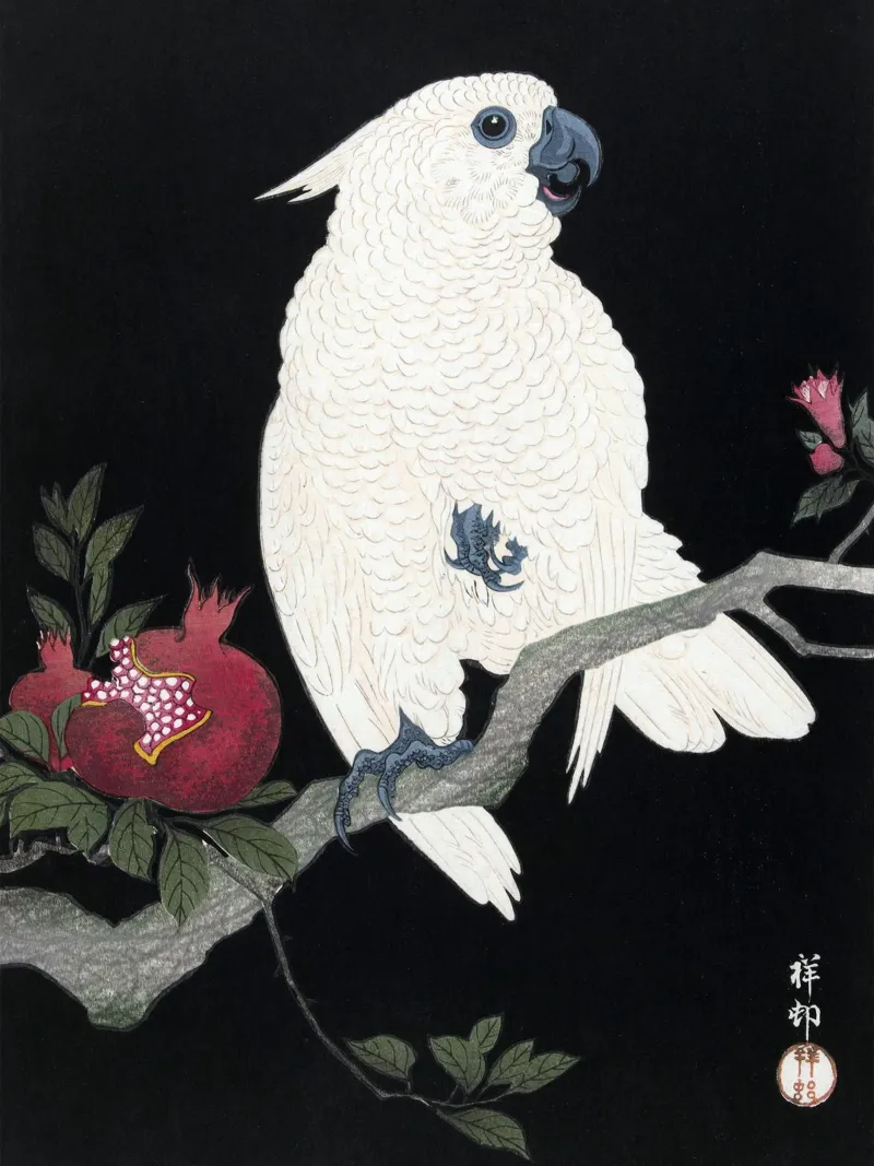 Ohara Koson - Cockatoo and Pomegranate pellicola backlit da apoloprints