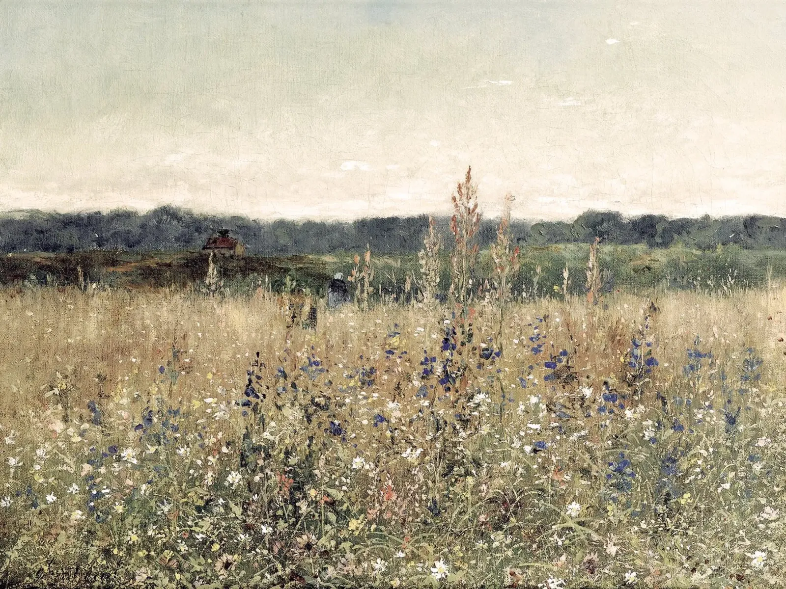 Flower Field Landscape pellicola backlit da apoloprints
