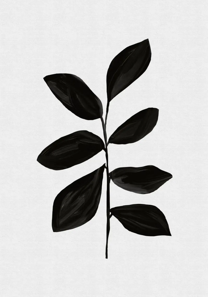 Botanisch I Hahnemühle von Orara Studio