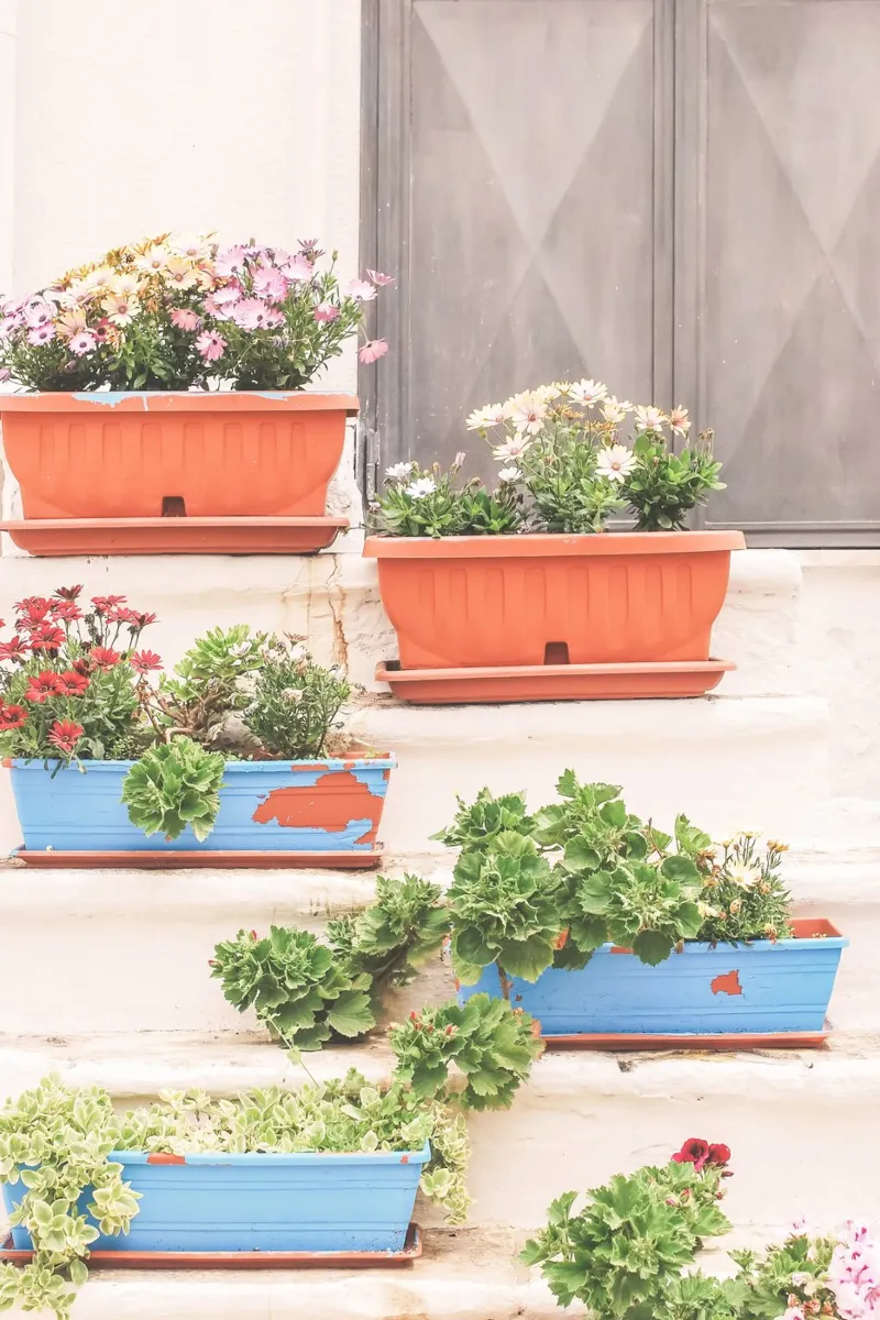 Puglia, Italia I La scala di fiori in un villaggio alluminio dibond da Julie Travel Photography