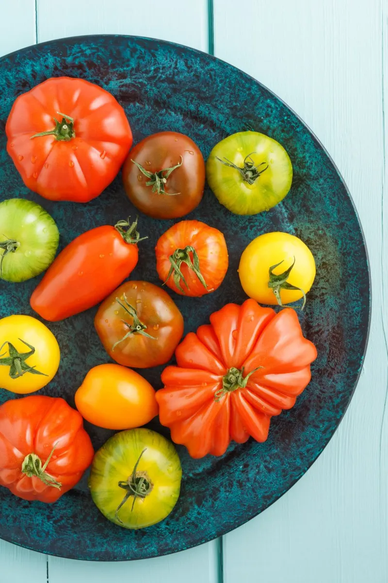 Different types of tomatoes on a rustic plate hahnemühle by foodphotolove