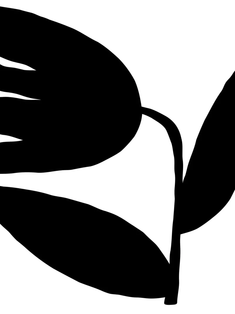 Delicate Line No 5 plexiglass da treechild