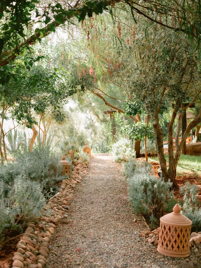 Serene Pathway in Ourika - Travel Photography pellicola backlit da Raisa Zwart Photography