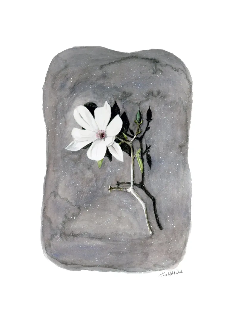 Fiore di magnolia bianco Illustrazione realistica ad acquerello poster con telaio in alluminio da This Wild Soul - Illustration