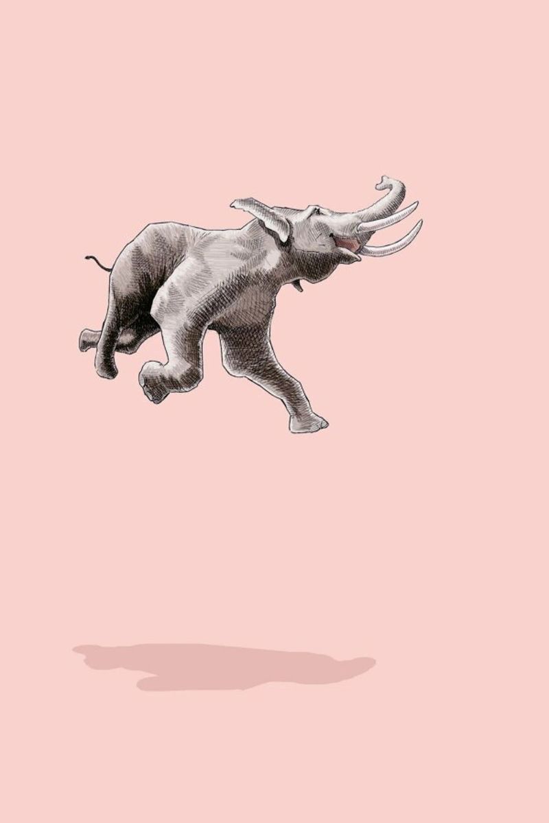 Float Like a Bird canvas by Jason Ratliff