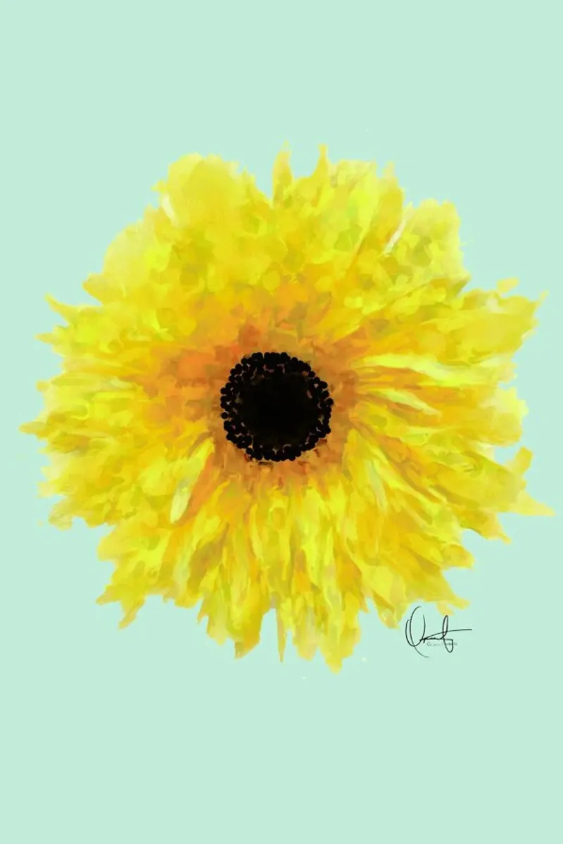 Sol pellicola backlit da Xchange Art Studio