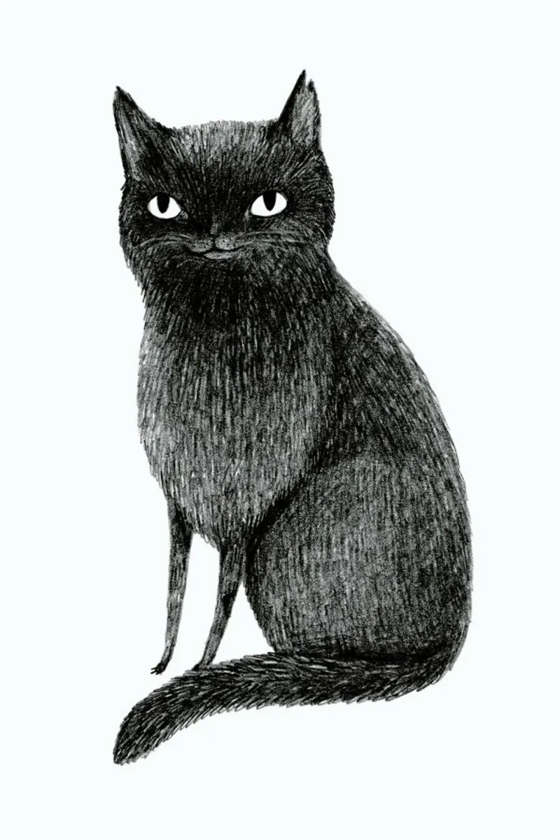 Black Cat plexiglas de Sophie Corrigan