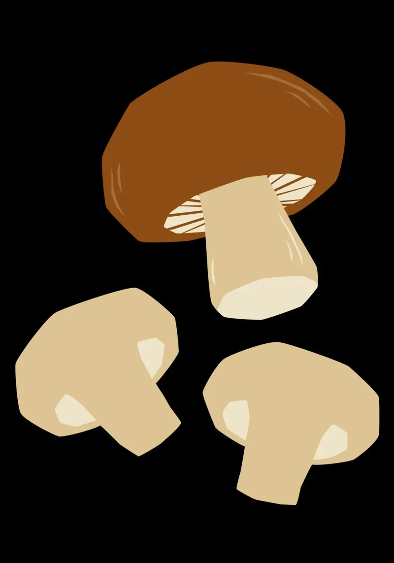 Mushrooms pellicola backlit da LisaArtes