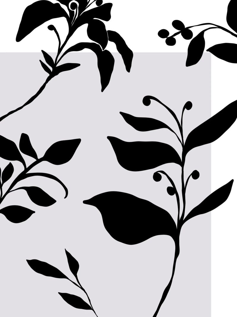 Delicate Line No 30 canvas by treechild
